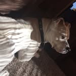 Daniel Autrey Jr. - @danielautrey4 - Instagram