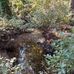 Danny Autrey - Facebook