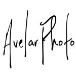 daniel avelar - @danniel_avelar - Instagram