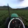 Daniel saucedo Avellaneda - @l.a_mb - TikTok