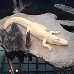 Daniel Averitt - @daniel4401057 - Instagram