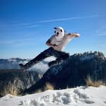 Daniel Aversa - @bulldoggsd - Instagram