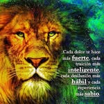 daniel avitia - @avitiad22 - Instagram