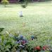 Daniel Nelson Avorgbedor Kofi - Facebook