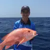 Daniel Avram - @daniel_avram_ - TikTok