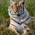 Daniel Avram - Facebook