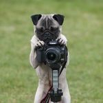 Daniel Awad - @awadofphotography - Instagram