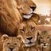 Daniel Awuah - Facebook