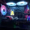 Dani - @danielaxel1 - TikTok
