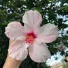 Daniela - @danielayaz_01 - TikTok
