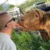 Daniel Ayling785 - @danielayling - TikTok