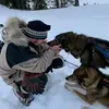 Daniel Aylmer - @daniel_aylmer - TikTok