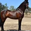 Daniel Ayora - @daniel.ayora3 - TikTok