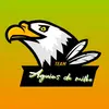 Águias do Milho 🌽 - @danielazaguetti1 - TikTok