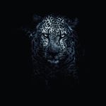 Daniel babayan - @babayan.daniel - Instagram