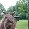 Daniel - @danielbabika - TikTok
