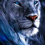 Daniel Baborsa - @danielbaborsa57 - Instagram