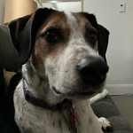 Daniel Bahleda - @bahledadaniel - Instagram