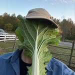 Daniel Bachman - @almanacbehind - Instagram
