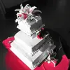 danielbachmann526 - @danielbachmann526 - TikTok