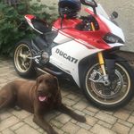 Daniel Bachmann - @danielbachmann8872 - Instagram
