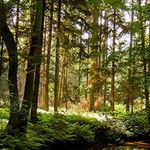 Daniel Ba - @daniel.backhaus.9 - Instagram