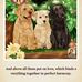 Danny Backus - Facebook