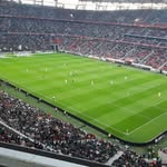 Dániel Bacsó - @bacsodani0811 - Instagram