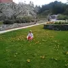Daniel Badea - @danielbadea37 - TikTok