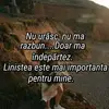 Daniel Badea - @danielbadea4872 - TikTok