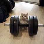 Данила - @daniel_badun - Instagram