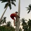DANIEL - @danielbaena69 - TikTok