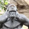 Daniel Baggett - @danielbaggett29 - TikTok