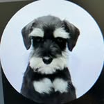 Daniel Baharov - @danielbaharov - Instagram