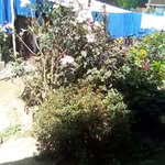 Daniel Bahiru - @daniel.bahiru.58 - Instagram
