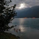 Daniel Baier - @daniel.baier.562 - Instagram