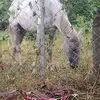 Daniel Bail - @daniel.bail - TikTok