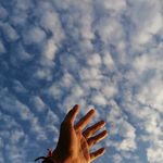 Daniel Bain - @danielbain_ - Instagram