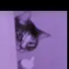 Daniel Baisch - @danielbaisch5164 - TikTok