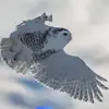 danielbaker0771 - @danielbaker0771 - TikTok