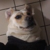 Daniel Ballinger - @daniel.ballinger - TikTok