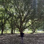 Daniel Banda - @danielbanda580 - Instagram