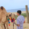 Daniel Banda - @daniel_banda.oficial - TikTok
