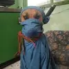 Daniel Bantawa Rai - @daniel.bantawa.ra - TikTok