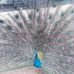 Daniel Barillas - Facebook