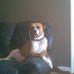 Daniel Barker - Facebook