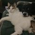 Daniel Barker - Facebook