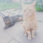 daniel bartley - @bartley7367 - Instagram