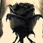 Daniel Baugh - @baugh.daniel - Instagram