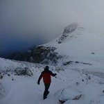 Daniel Bauman - @talkswithanimals - Instagram